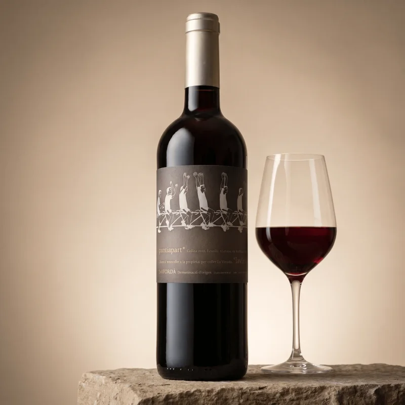 Puntiapart Tinto lavinyeta 2012